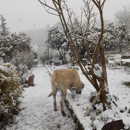 La Mare Aux Fees Bed & Breakfast Huelgoat Luaran gambar