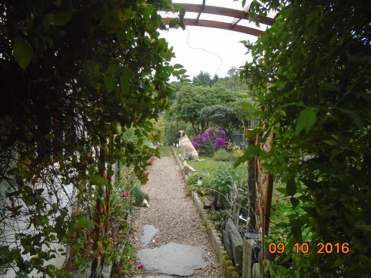 La Mare Aux Fees Bed & Breakfast Huelgoat Luaran gambar